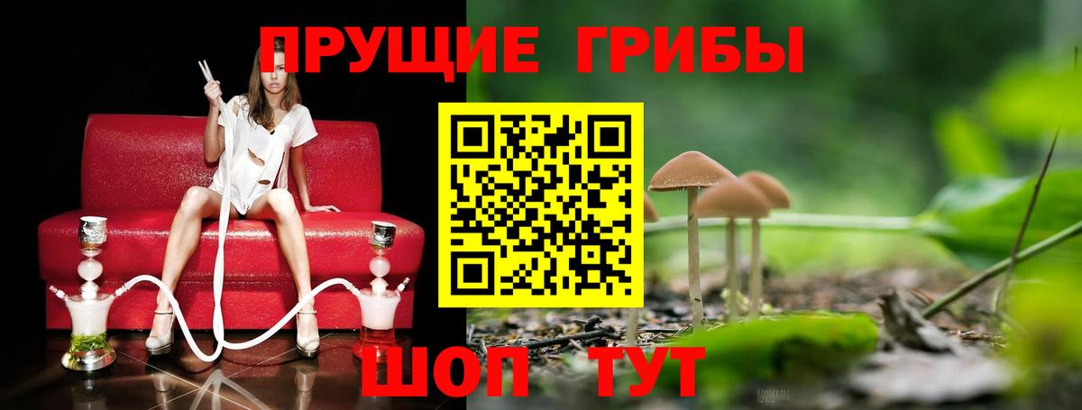 Галлюциногенные грибы MAGIC MUSHROOMS Кудымкар
