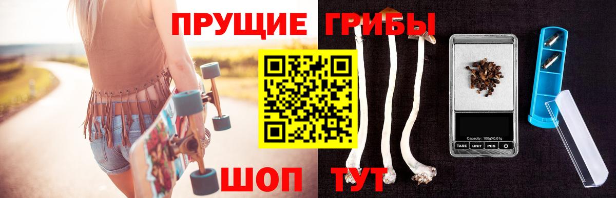 Кудымкар  Псилоцибиновые грибы GOLDEN TEACHER  Вход с VPN 